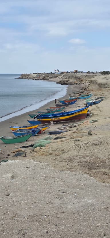Des bateaux colorés sur une plage tranquille au bord de l'eau.