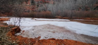 Un paysage d'hiver avec de l'eau gelée et des arbres nus.