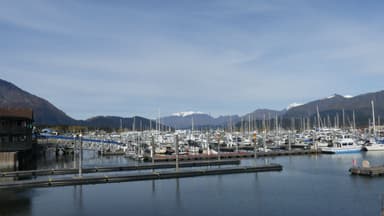 Un port avec des bateaux et des montagnes en arrière-plan.