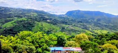 Une vue panoramique des collines verdoyantes et des arbres à Taminango.