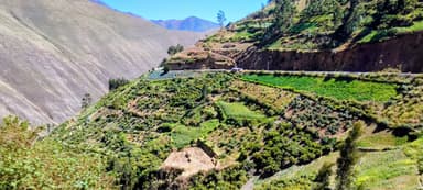 Un paysage verdoyant avec des collines et des cultures à Huaraz.