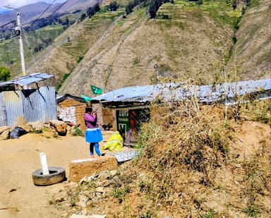 Une femme avec un drapeau vert près d'une maison dans un paysage montagneux.