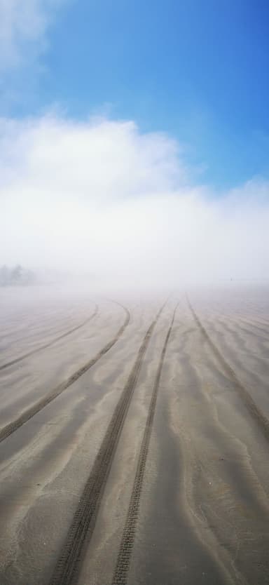 Des traces de pneus sur une plage brumeuse au Mexique.
