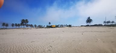 Une plage avec des palmiers et un véhicule jaune au loin sous un ciel bleu.