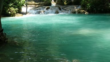 Une eau turquoise claire avec des cascades et de la végétation.
