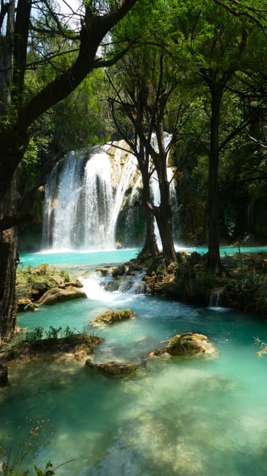 Une cascade entourée d'arbres et d'eau turquoise.