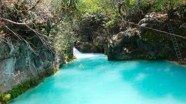 Une belle scène d'eau turquoise entourée de verdure.