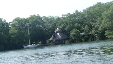 Une maison en bois au bord de l'eau entourée de verdure.