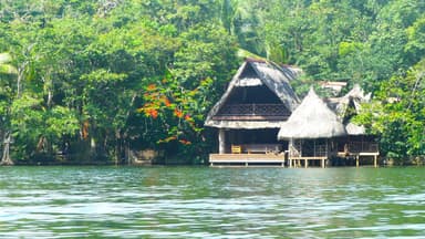 Une maison au bord de l'eau entourée de verdure.
