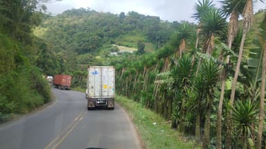 Une route sinueuse avec des camions et des palmiers.
