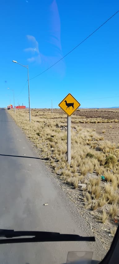 Un panneau de signalisation pour des animaux sur une route en Bolivie.