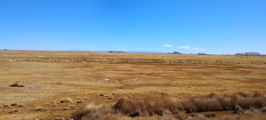 A vast, open landscape with dry grass and distant mountains under a clear blue sky.