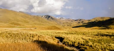 Un paysage de collines dorées sous un ciel nuageux.