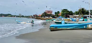 Un paysage côtier avec des bateaux de pêche et des oiseaux en vol.