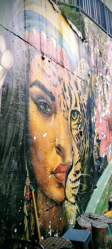 Une fresque murale colorée représentant un visage humain et un léopard.