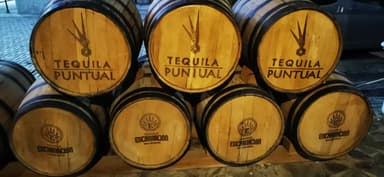 Des fûts de tequila en bois dans une rue éclairée.