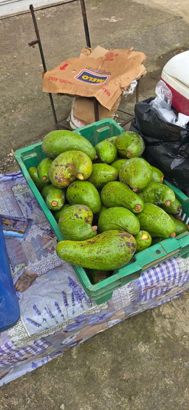 Un tas d'avocats verts sur une table en plein air.