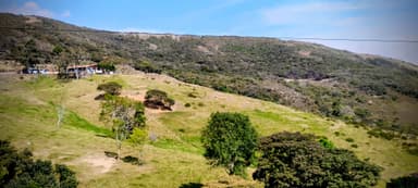 Un paysage verdoyant avec des collines et des arbres sous un ciel bleu.