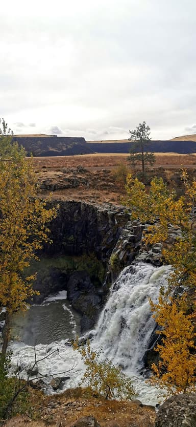 Une cascade entourée d'arbres aux feuilles dorées sous un ciel nuageux.