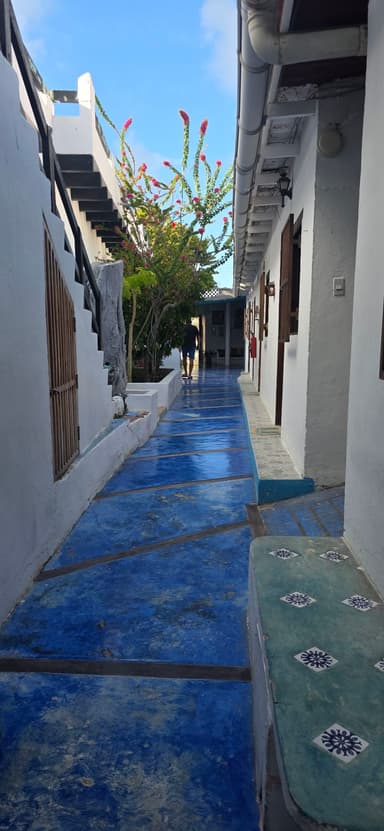 Un chemin bleu entre des bâtiments blancs et des plantes vertes sous un ciel clair.