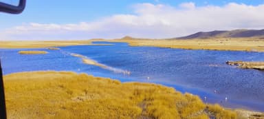 A scenic view of a river with golden grass and distant mountains under a blue sky.