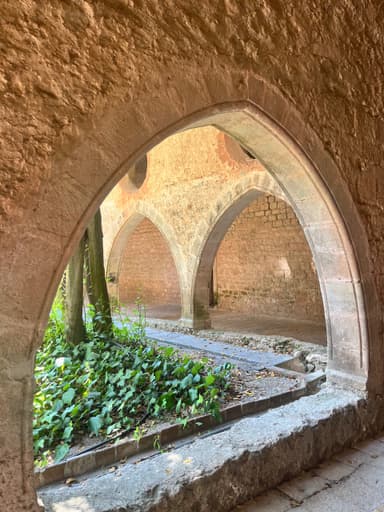 Un arc en pierre avec des plantes vertes à l'intérieur.