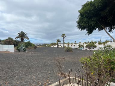 A landscape view of a rocky area with palm trees and white buildings in the distance.
