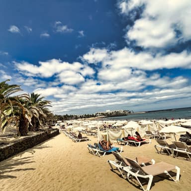 A sunny beach scene with palm trees and sun loungers on the sand.
