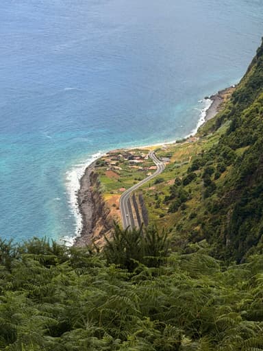 A coastal road winding through lush greenery by the ocean.