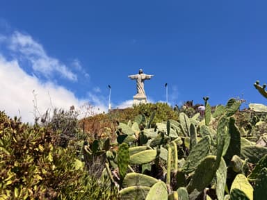 A statue on a hill surrounded by cacti under a blue sky.