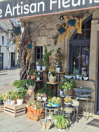 Un coin fleuri d'une boutique à Brittany, France, avec des pots de fleurs colorés.