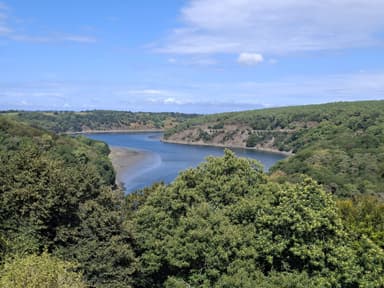 Une vue panoramique d'une rivière entourée de collines verdoyantes.